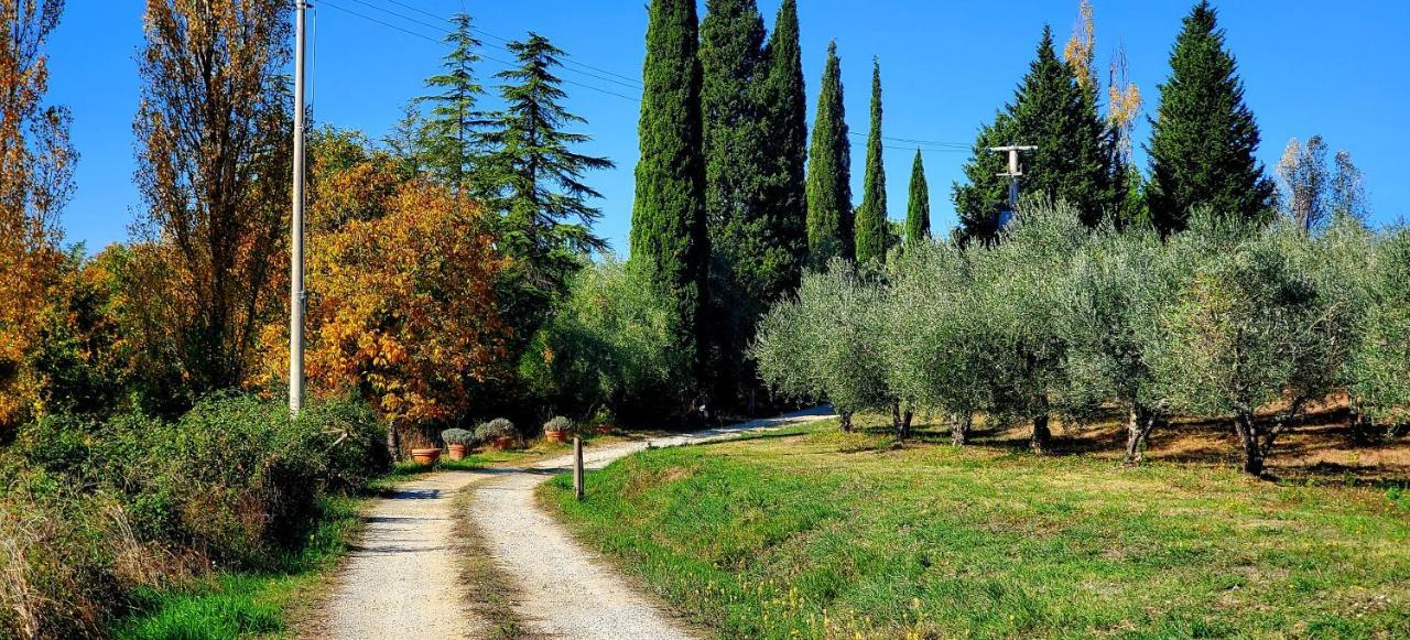 La Volpaia 1521 Barberino di Val dʼElsa Exterior foto