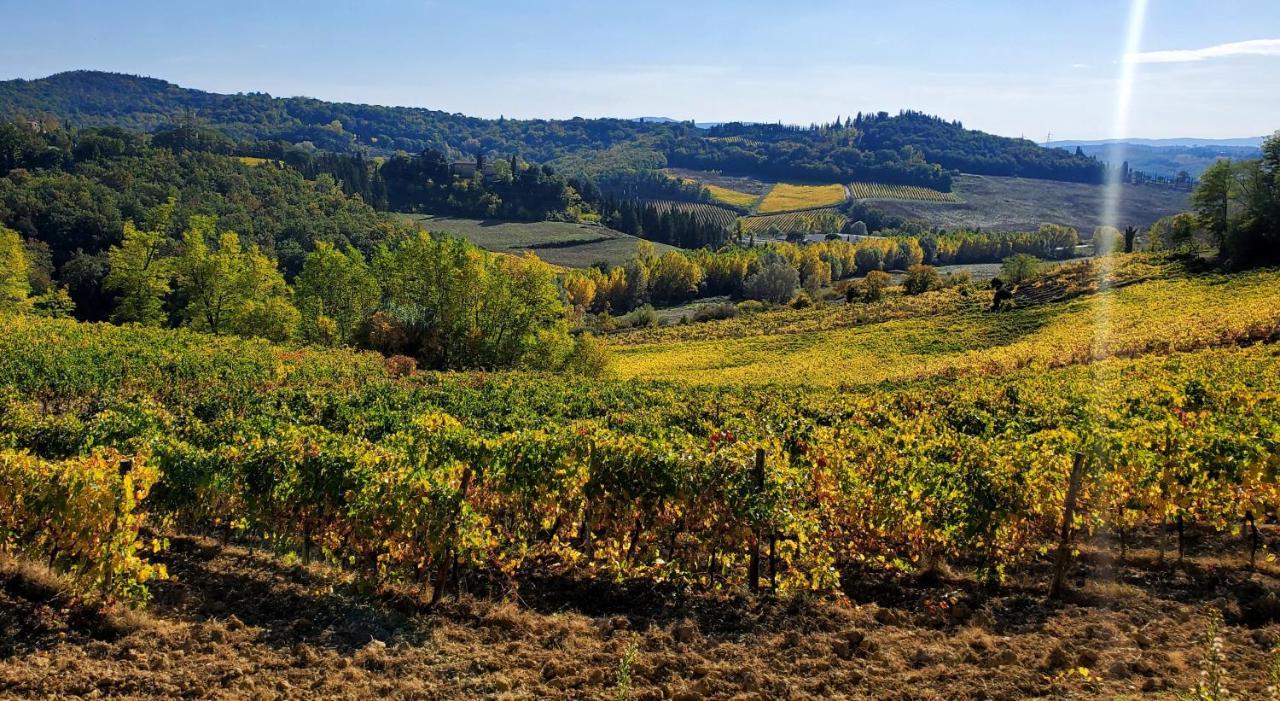 La Volpaia 1521 Barberino di Val dʼElsa Exterior foto
