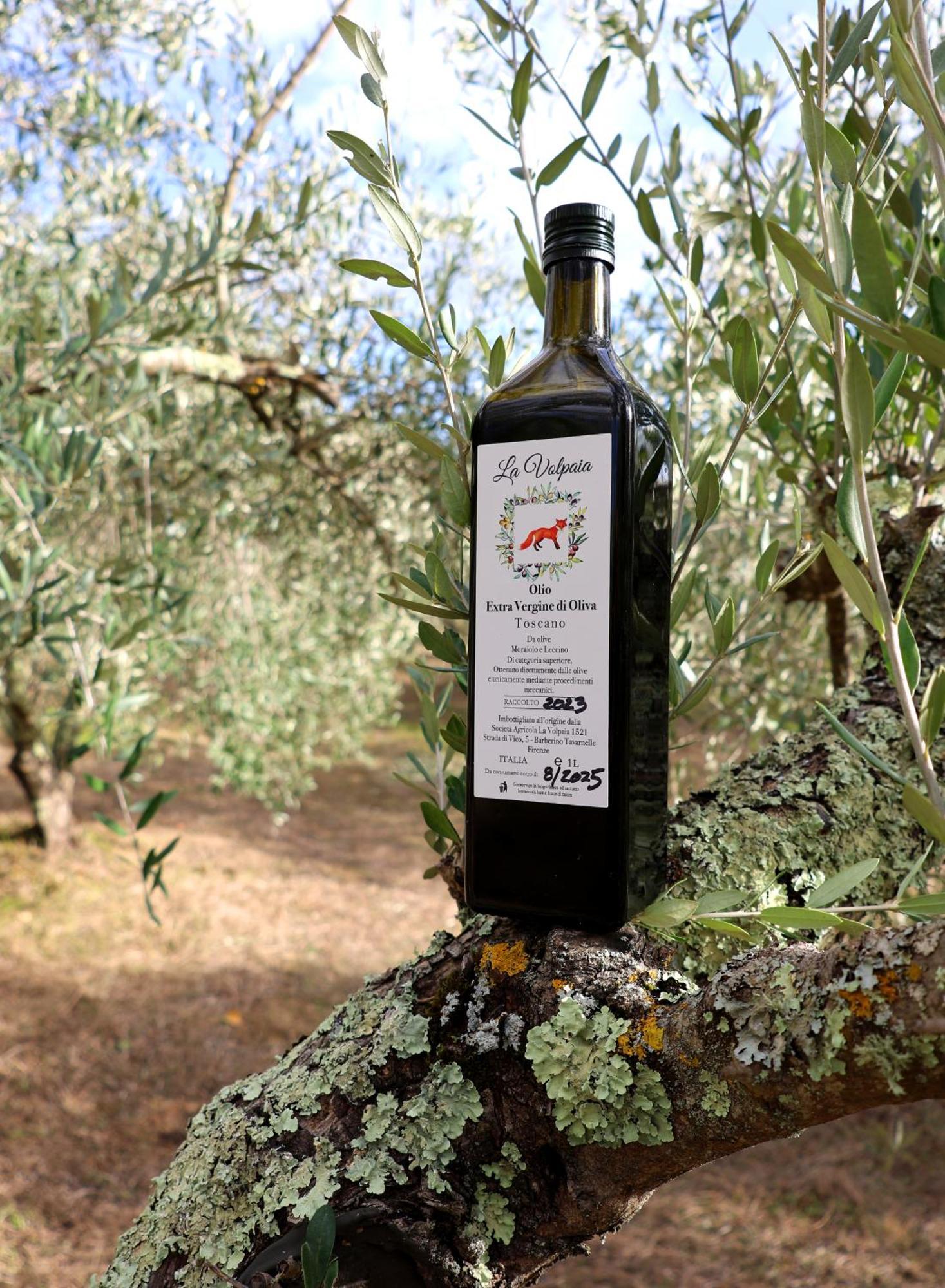 La Volpaia 1521 Barberino di Val dʼElsa Exterior foto